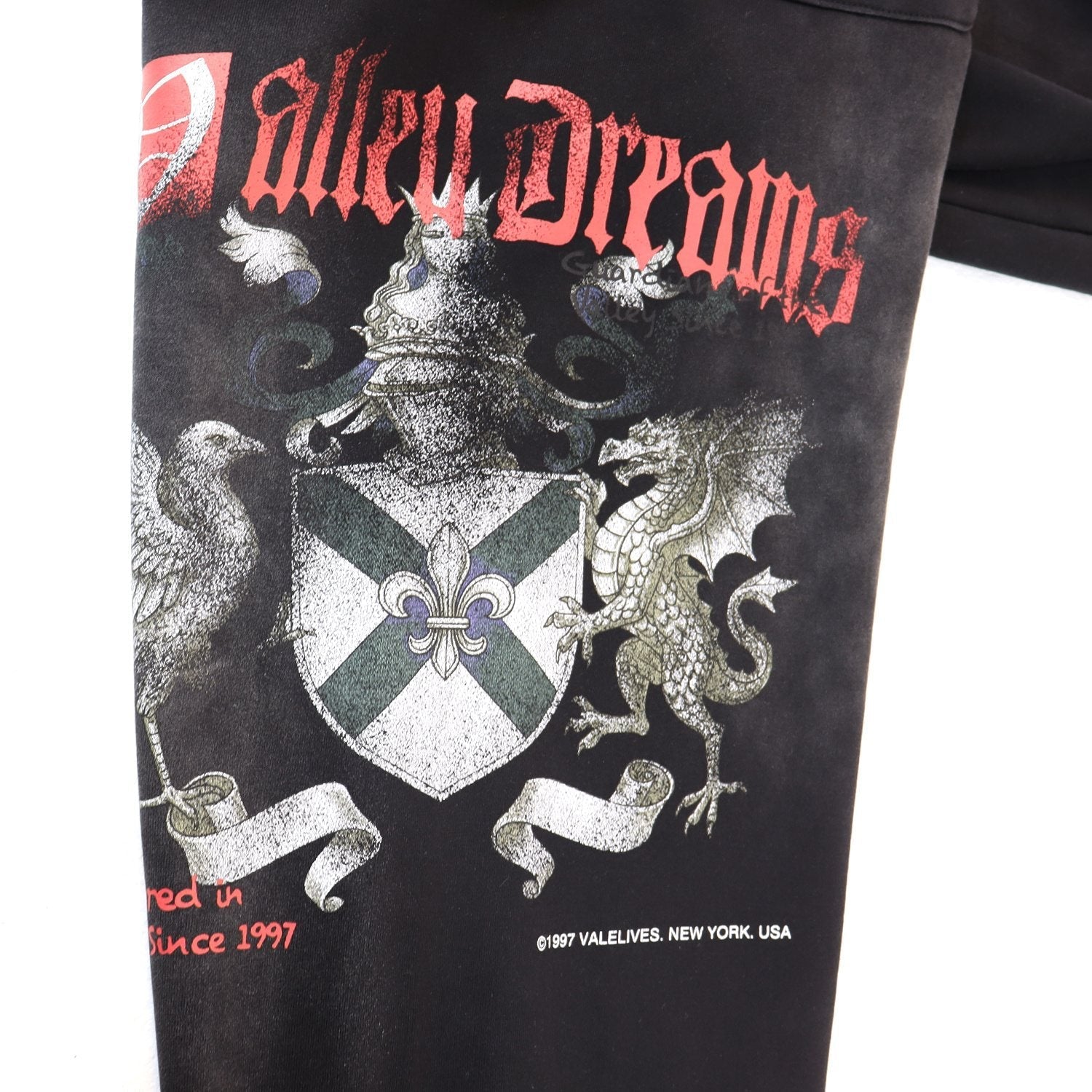 VALE USA Guardian Graphic Zip Hoodie and Jogger Set — detail