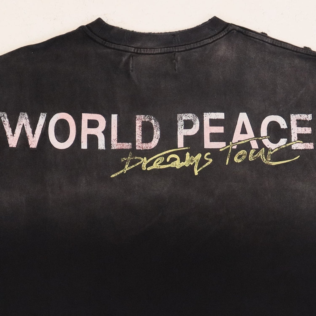 Valley Dreams World Peace Graphic T-Shirt — detail