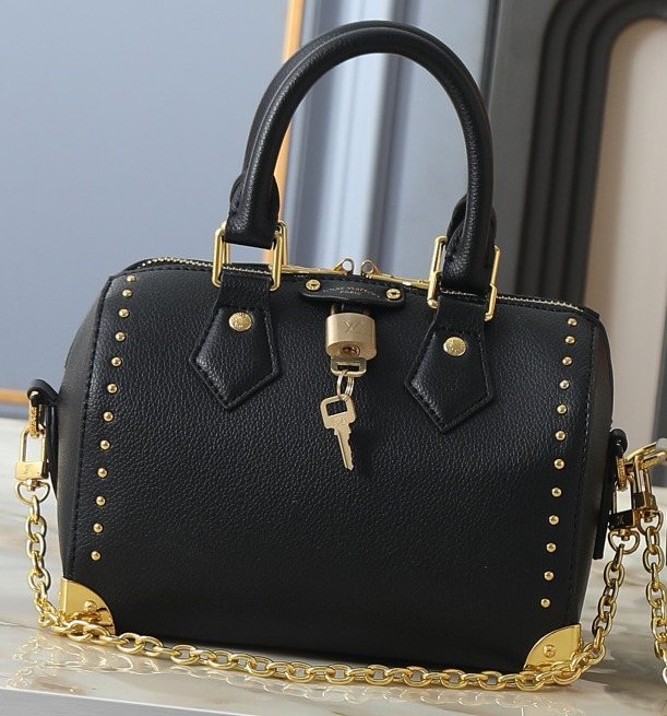 Louis Vuitton Speedy Trunk Handbag — front