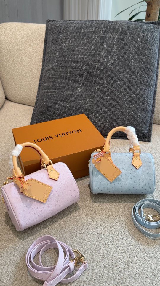 Louis Vuitton Speedy Embossed Monogram Top-Handle Bag — comparison