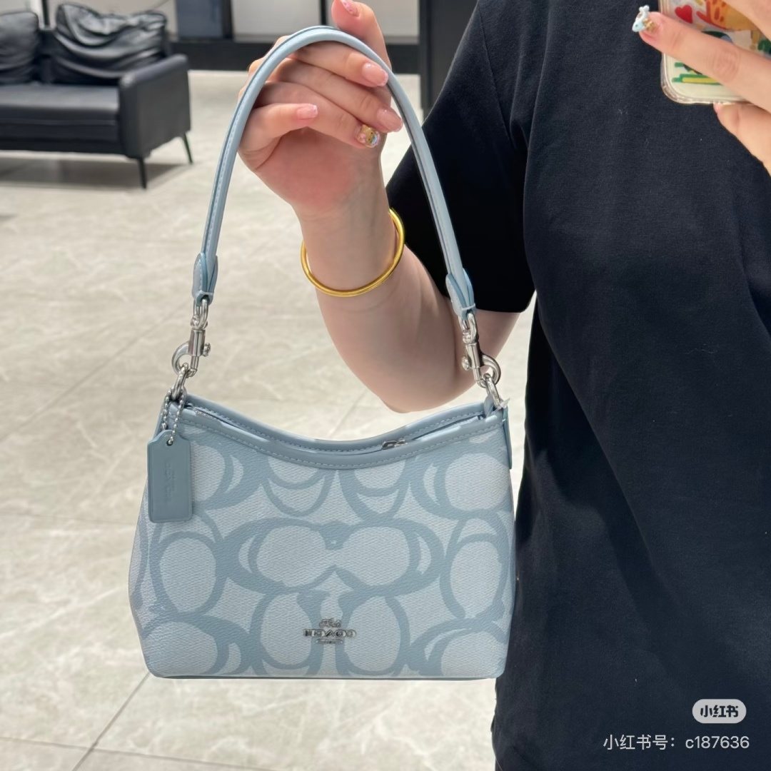 Coach Laurel Signature Hobo Bag — model