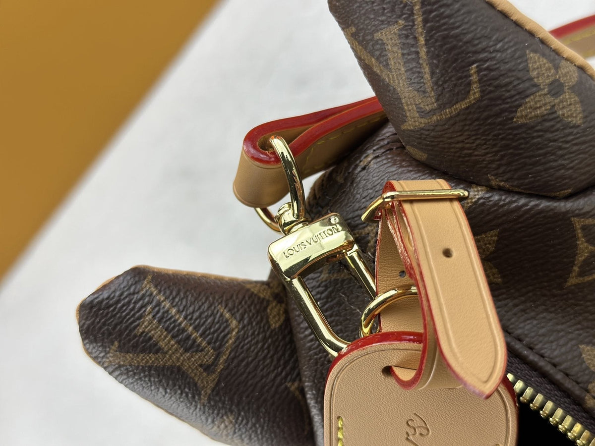 Louis Vuitton Pooch Bag Monogram Dog-Shaped Handbag — detail