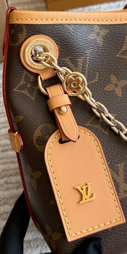 Louis Vuitton Carryall BB Monogram Shoulder Bag — detail