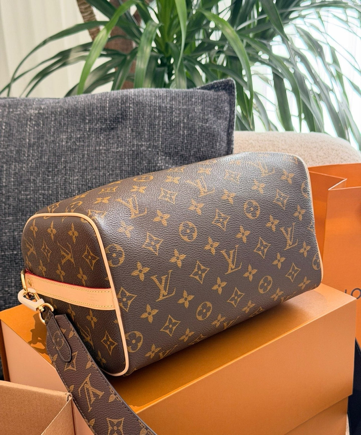 Louis Vuitton Speedy Monogram Satchel — side