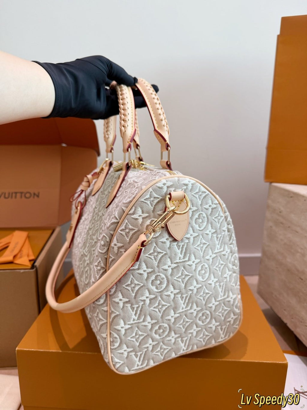 Louis Vuitton Speedy Monogram Handbag with Braided Handles — side