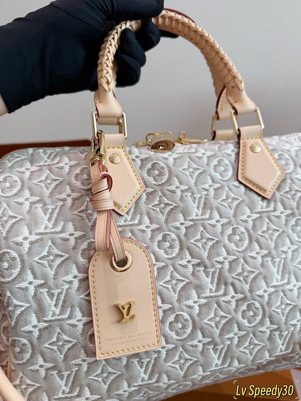 Louis Vuitton Speedy Monogram Handbag with Braided Handles — detail