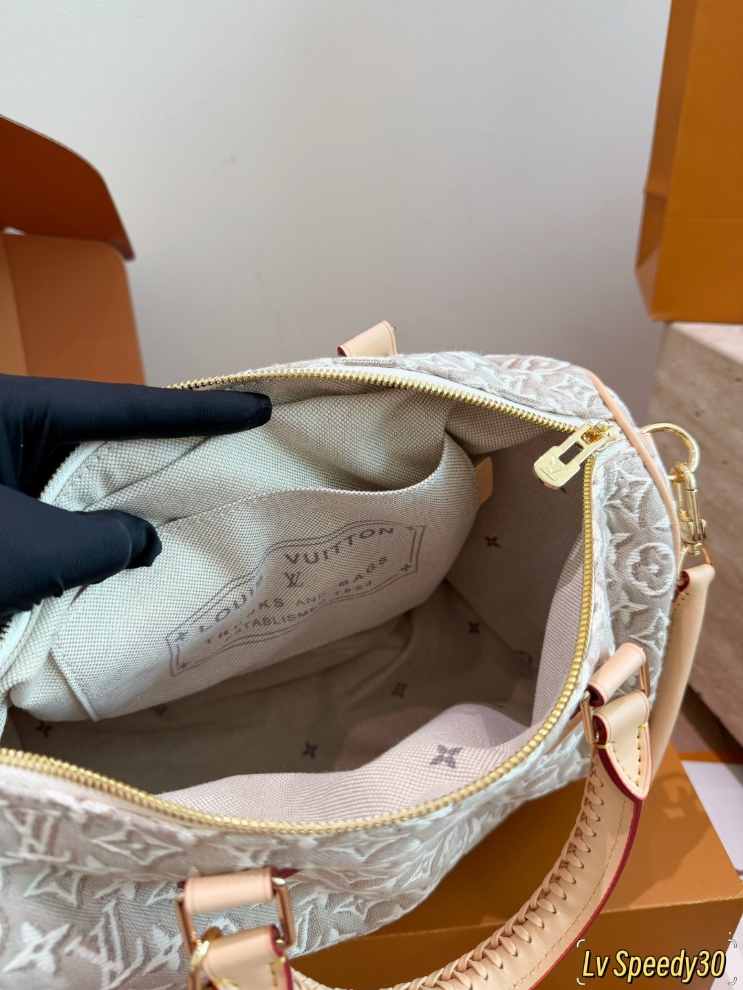 Louis Vuitton Speedy Monogram Handbag with Braided Handles — front