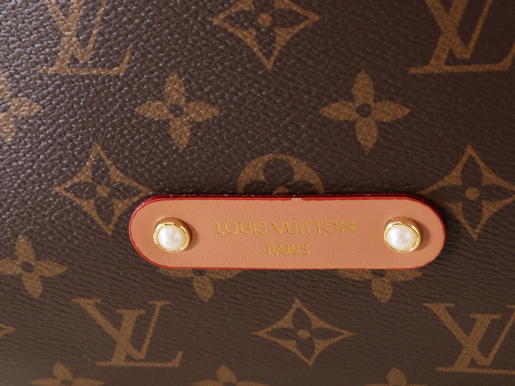 Louis Vuitton Vagabond Hobo Monogram Archive Bag — detail