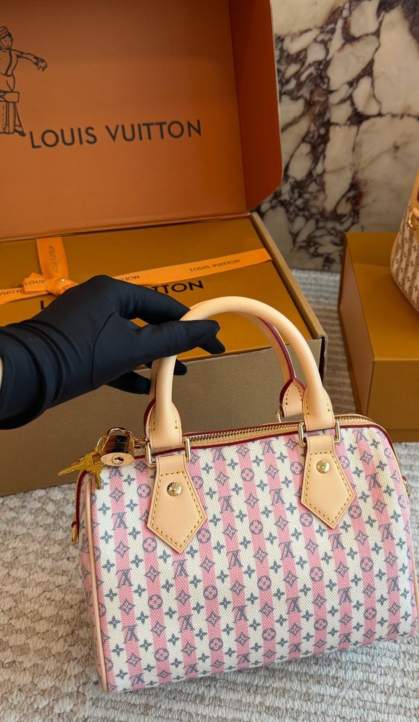 Louis Vuitton Speedy Printed Boston Bag — back