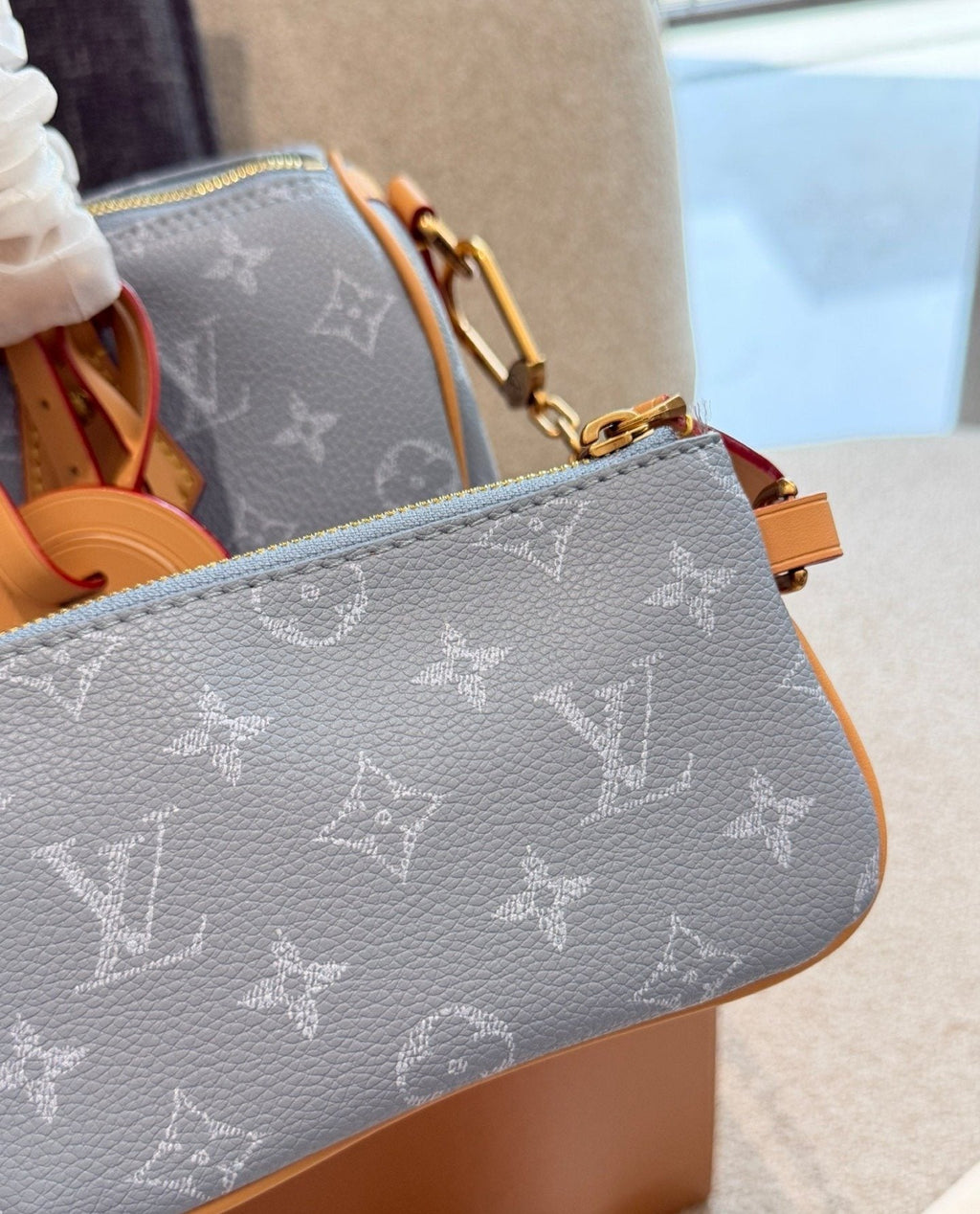 Louis Vuitton Speedy Monogram Handbag — detail
