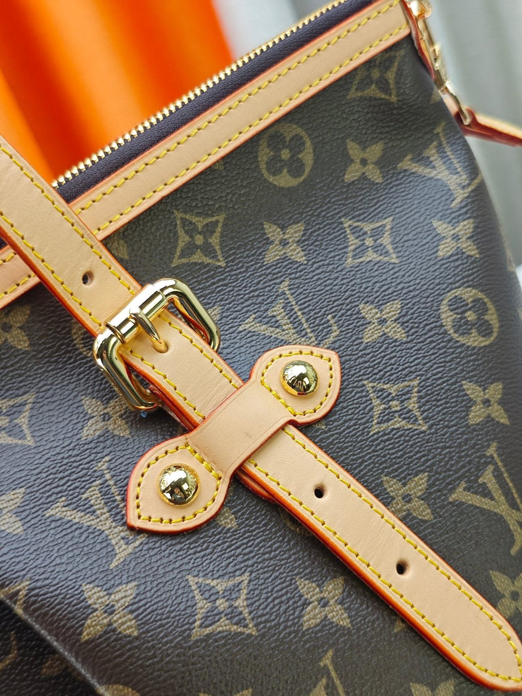 Louis Vuitton Pleated Monogram Tote — detail