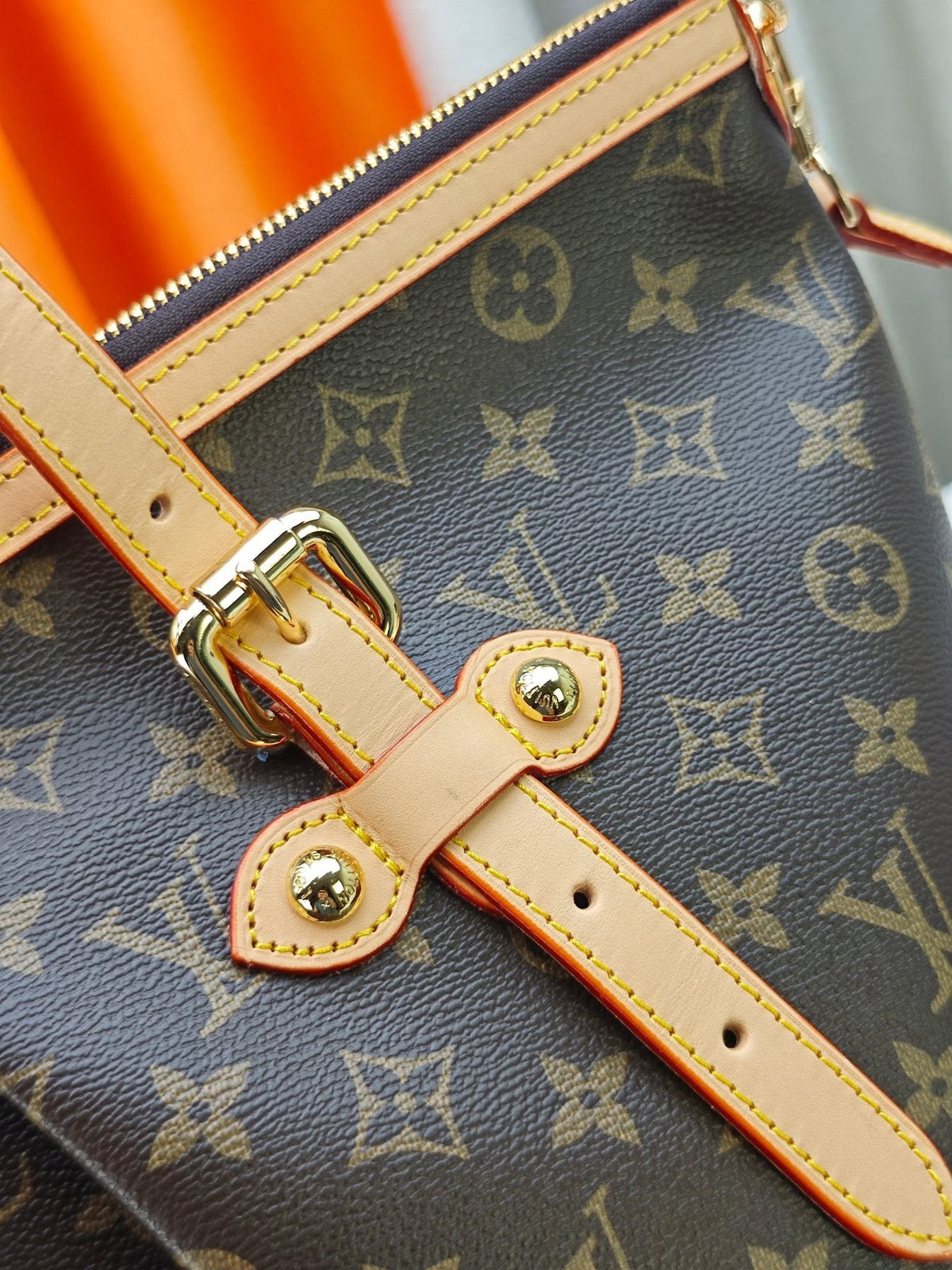 Louis Vuitton Pleated Monogram Tote — detail
