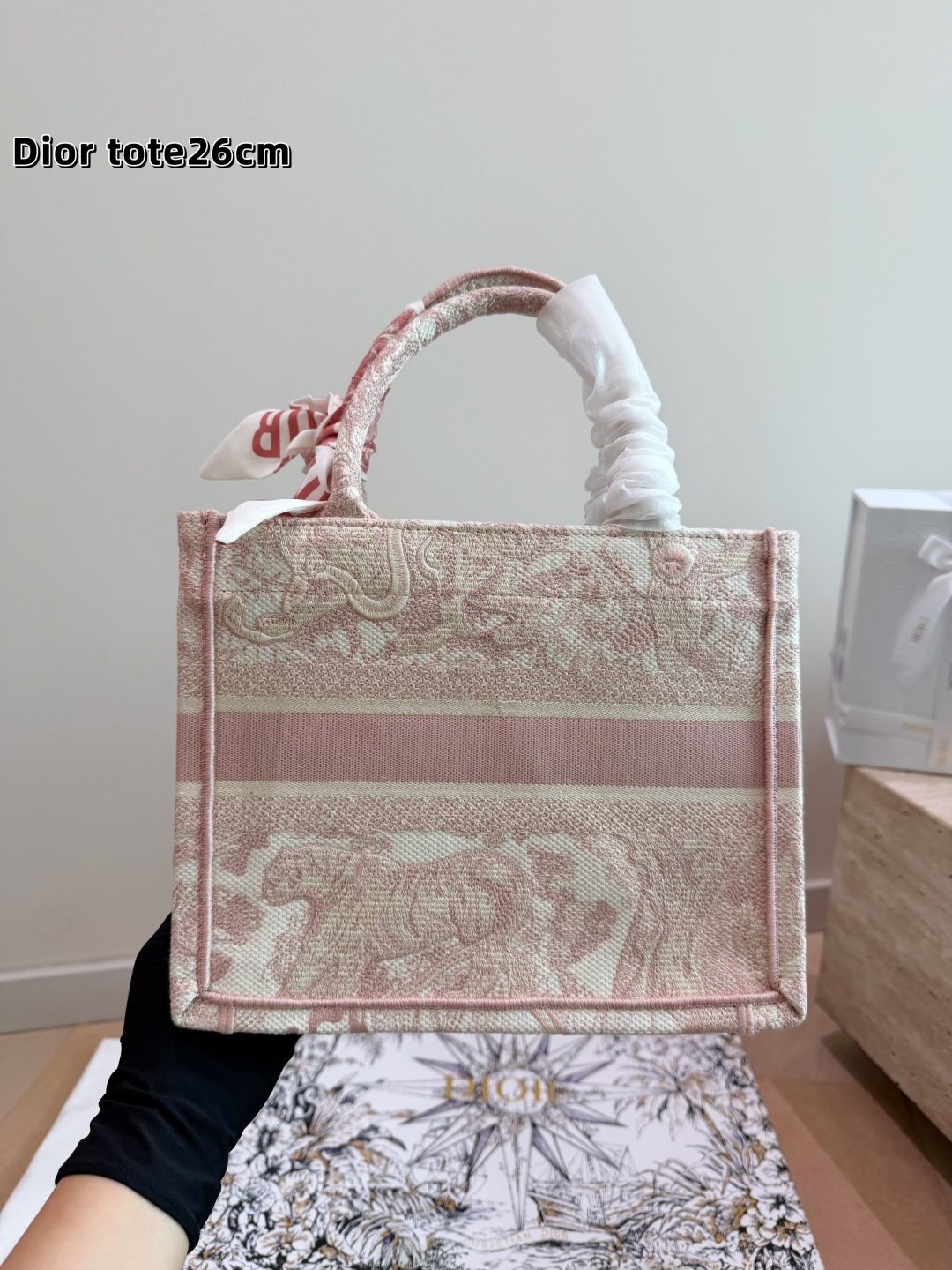 Dior Book Tote Patterned Tote Bag — back