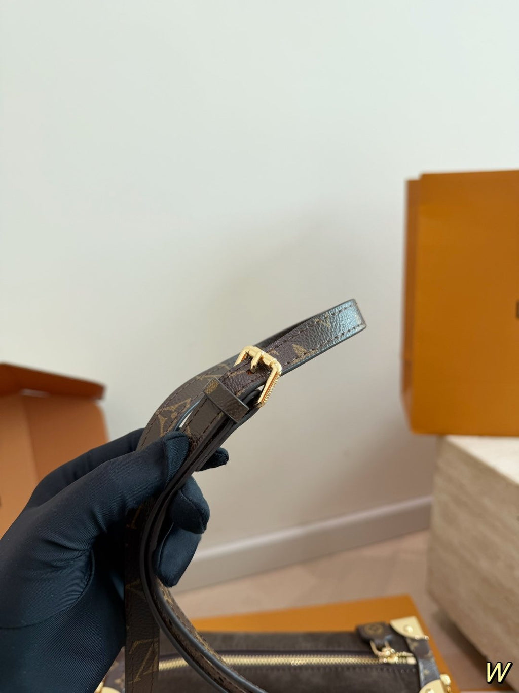 Louis Vuitton Trunk Top-Handle Bag with Monogram Trim — detail