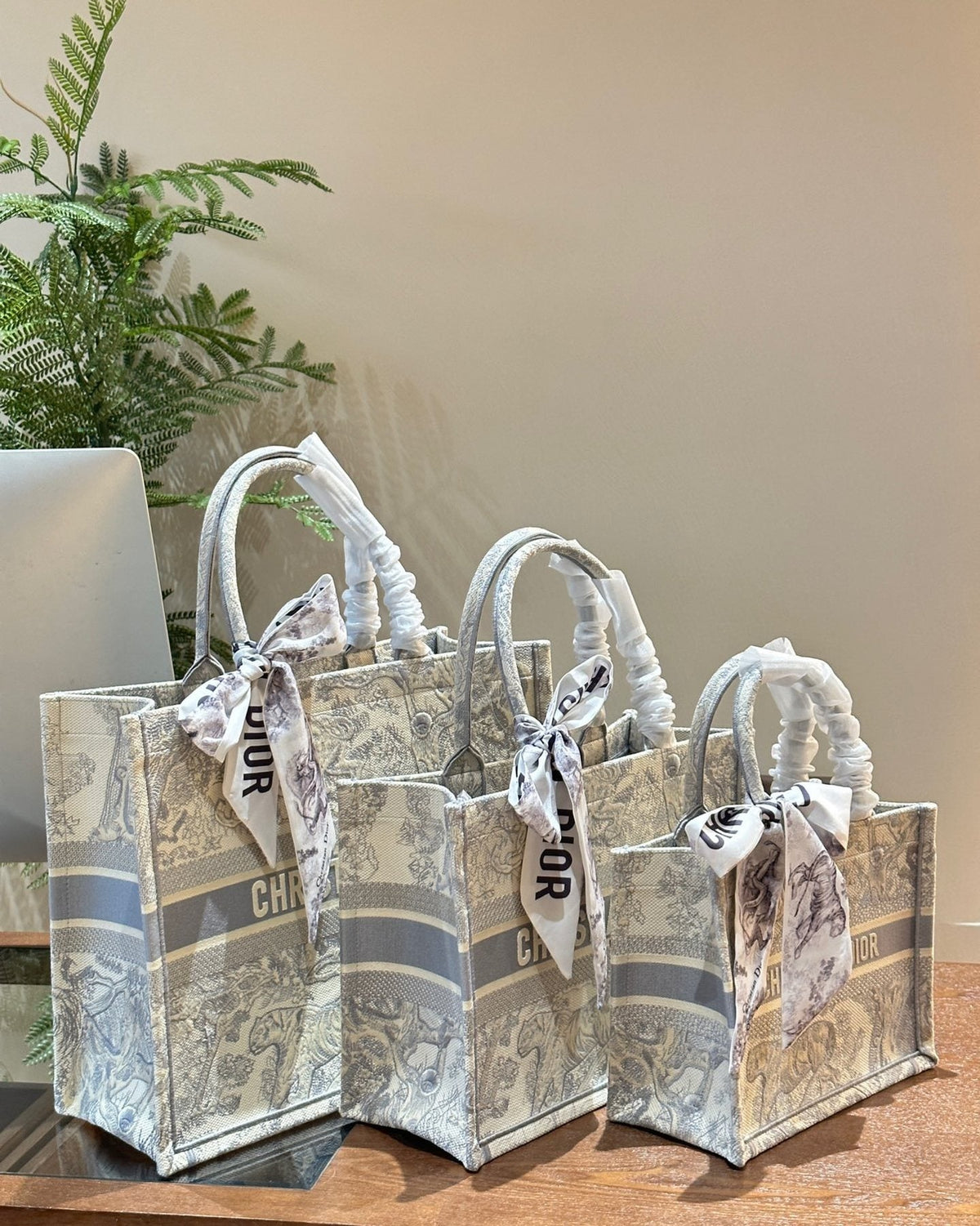 Dior Book Tote with Patterned Panels — comparison