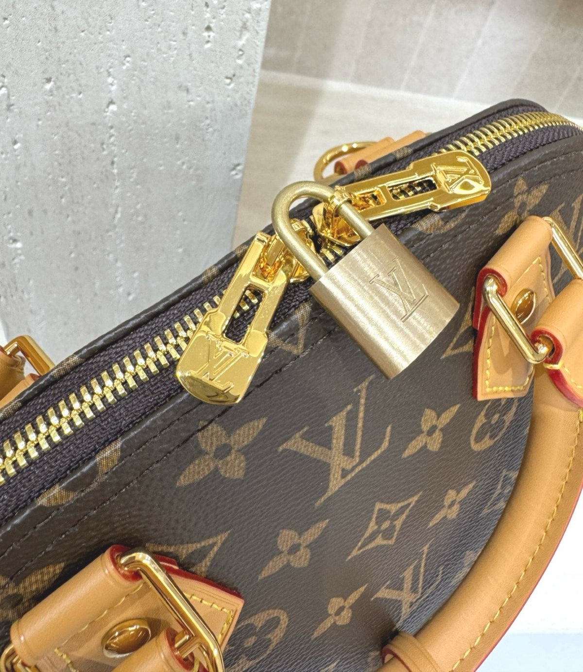 Louis Vuitton Domed Top-Handle Bag — detail